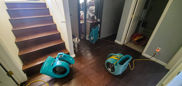 Best Flooded house restoration  in Mexico, MO
