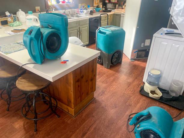 Best Water damage contractors near me  in Mexico, MO