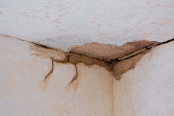 Best Water damage restoration mold remediation  in Mexico, MO