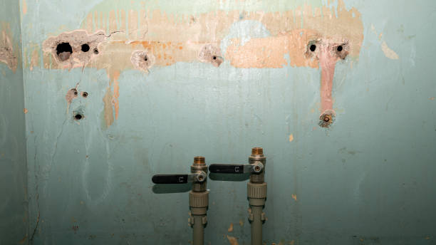 Best 24-hour water damage restoration  in Mexico, MO