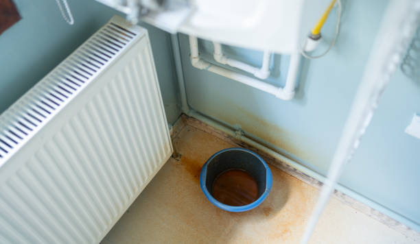 Carpet water damage restoration in Mexico, MO