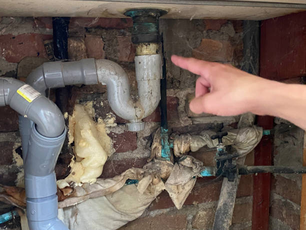 Best Water damage repair service  in Mexico, MO