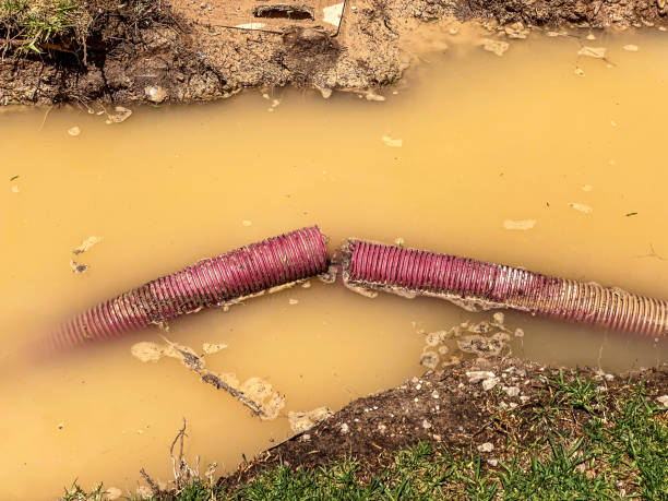 Best Mold removal after water damage  in Mexico, MO